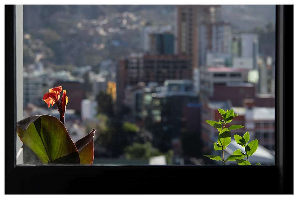 Casa Grande Express Hotel La Paz Phòng bức ảnh